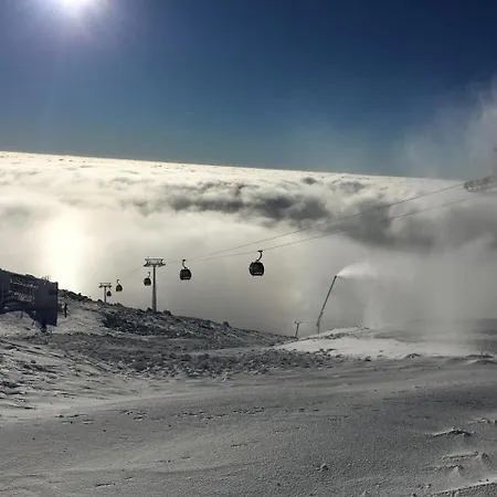 Rackova Dolina بريبيلينا