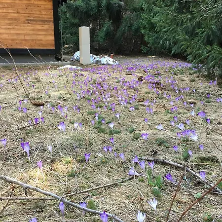 Rackova Dolina Dağ evi