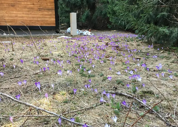 Rackova Dolina シャレー