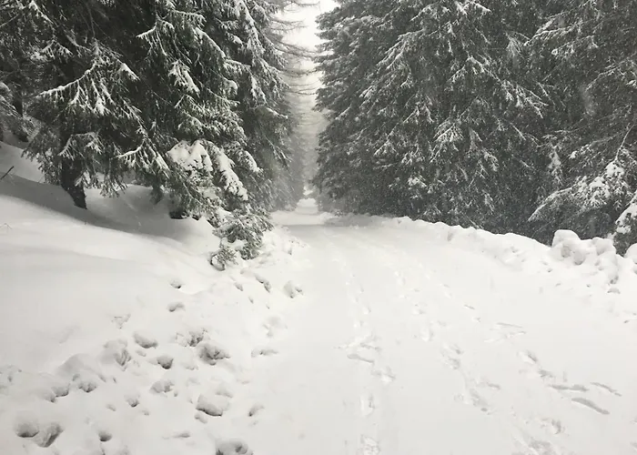 Rackova Dolina シャレー